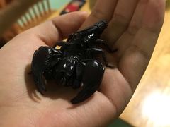 -藦茜花园宠物主题亲子互动体验馆(国顺东路店)