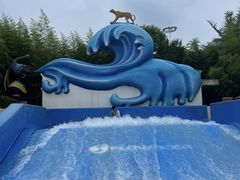 -上海玛雅海滩水公园