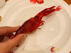 -喜来登由由大酒店九州膳坊中餐厅