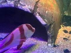 -沈阳海洋探索中心