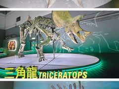 -香港科学馆