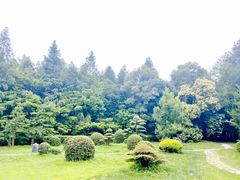 -东湖落雁景区