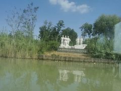 -泗洪洪泽湖湿地景区