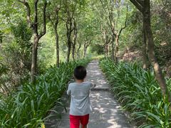 -广州白江湖森林公园