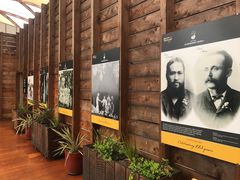 -怀托摩萤火虫洞