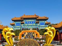 -中国翰园碑林