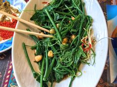 凉拌南瓜尖-巴依老爷新疆美食(魏公村店)