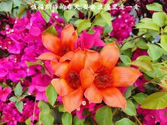 -花都广场