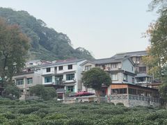-龙井村