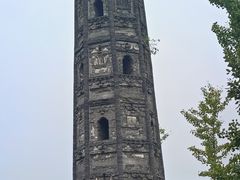 -上海佘山国家森林公园天马山园