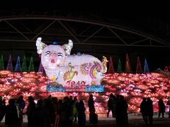 -沈阳奥体冰雪嘉年华