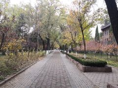 -山东大学(趵突泉校区)