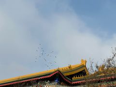 -沈阳故宫·莊啡