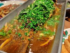 糊辣椒炝锅鱼-树厨贵州菜(大十字店)