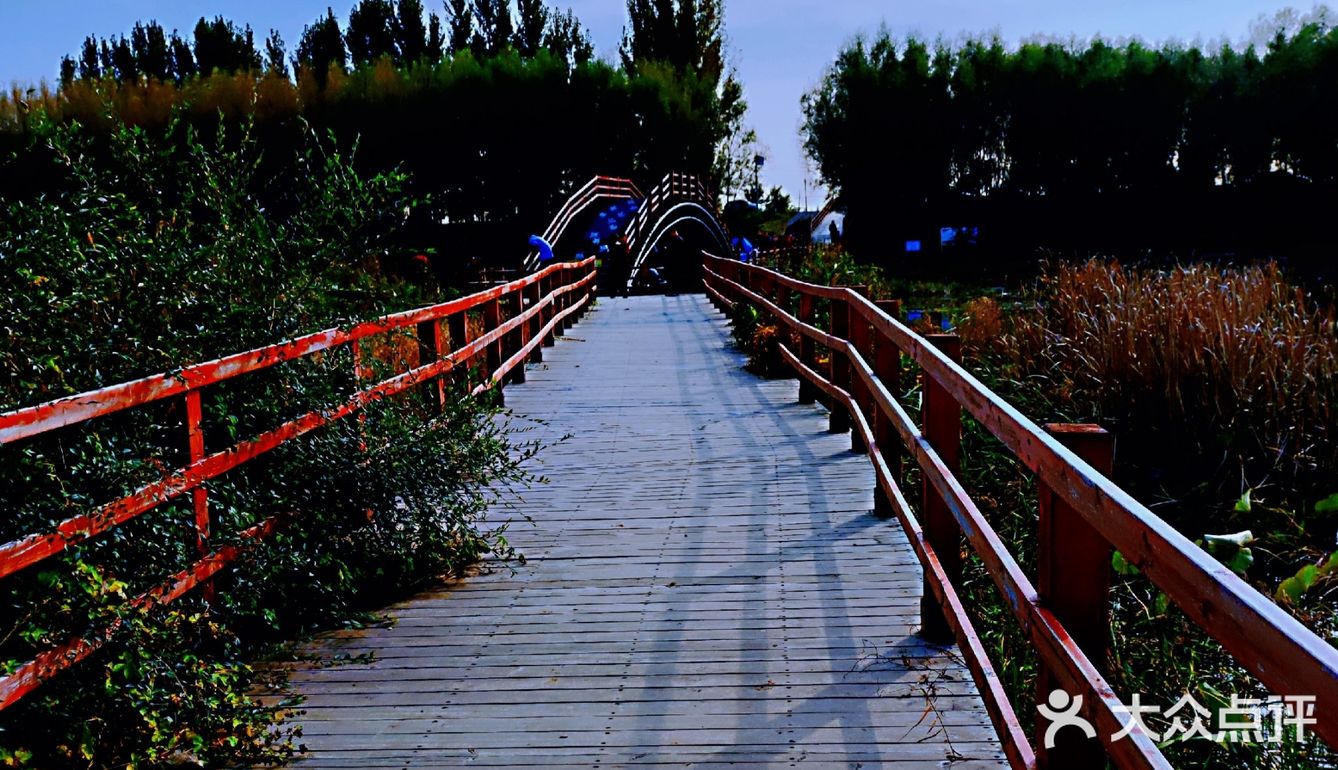 沈阳沈北七星湿地公园