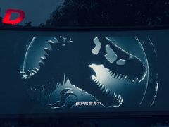 -枫花园汽车电影院(朝阳公园店)