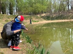 -大兴滨河森林公园