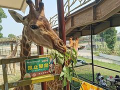 -天和楼·精致太湖酒家(太湖店)