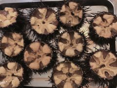 -海胆小馆(东北水饺·春柳店)