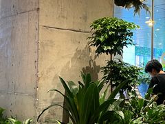 -农畉LONFOOD(万象天地店)