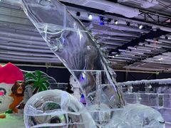 -宁波冰雪大世界(北仑区)