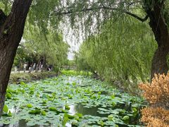 -苏州人家(锦溪镇店)