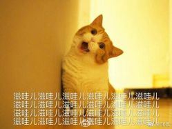 -义云刺青工作室