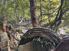 -绮园景区