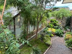 -山壹竹庭院餐厅