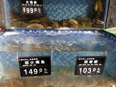 -浩运·海鲜青岛菜·海胆水饺(石老人店)