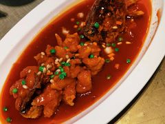 松鼠桂鱼-老客站酒楼(金花南路店)