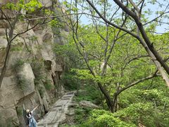 -北京凤凰岭