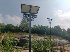 -三水森林公园