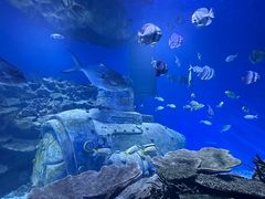 -海合安武汉极地海洋公园
