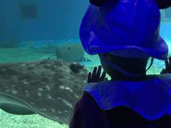 -北戴河圣蓝海洋公园