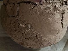 -甲氏瓯鸡(石横店)