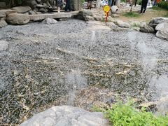 -西安青龙寺遗址景区