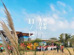 -上海长兴岛郊野公园