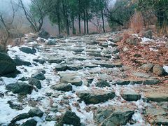 -阳台山自然风景区