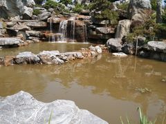 -东莞植物园