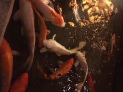 iphone_upload_pic-松子料理(亮马桥店)