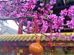 -西安市广仁寺