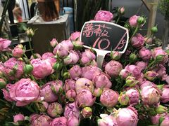 -豆豆花艺(新光天地店)