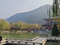 -华清宫景区