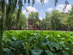 -四川大学(望江校区)