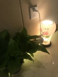 -Lily纤美·科技减脂中心