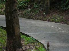 -燕晗山郊野公园