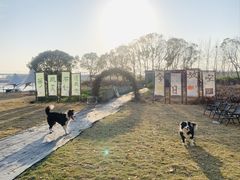 -动邦皮划艇·桨板·独木舟·团建户外运动俱乐部
