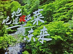 -东来土菜馆(民祥园路店)