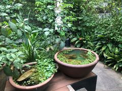 -肴约·花园式餐厅(湖里店)